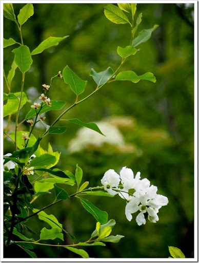 26 June 5 21-06-2013 11-25-10