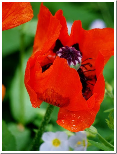 26 June 7 21-06-2013 11-30-36