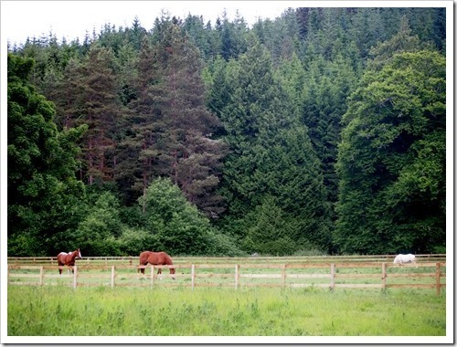 26 June 10 25-06-2013 14-44-12