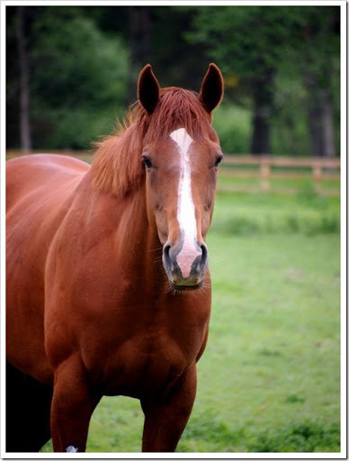 26 June 10 26-06-2013 09-36-43