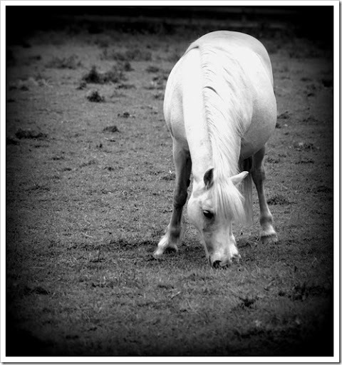 26 June 12 26-06-2013 09-37-07