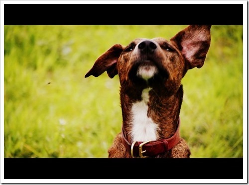 26 June 10 25-06-2013 14-48-42