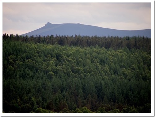 25 June 2 25-06-2013 15-42-40