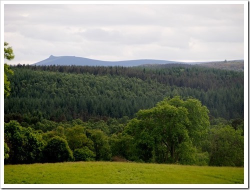 25 June 3 25-06-2013 15-42-42