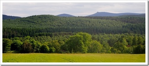 25 June 4 25-06-2013 15-56-18