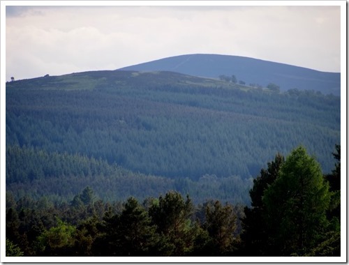 25 June 6 25-06-2013 15-56-24