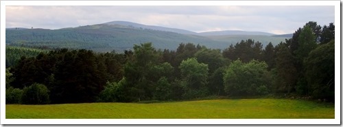 25 June 7 25-06-2013 15-25-16