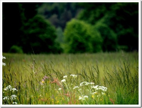 25 June 9 25-06-2013 16-23-09