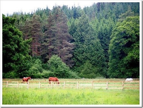 25 June 10 25-06-2013 14-44-14