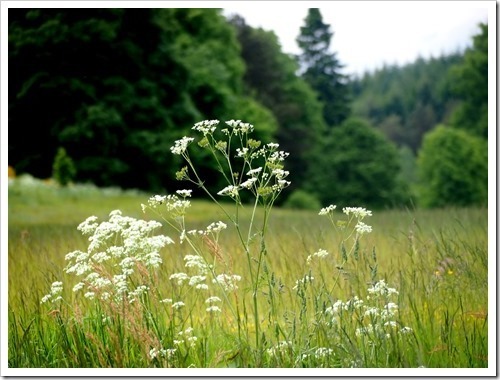 25 June 11 25-06-2013 16-22-54