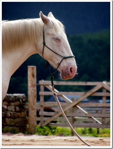 25 June 15 25-06-2013 10-31-28