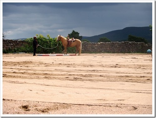 25 JUne 16 25-06-2013 10-30-07