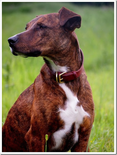 25 June 20 25-06-2013 14-47-43