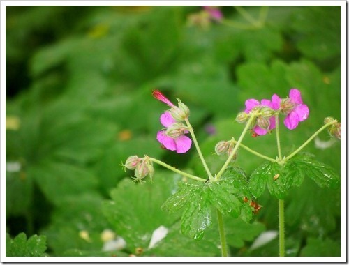 24 June 2 21-06-2013 11-24-58