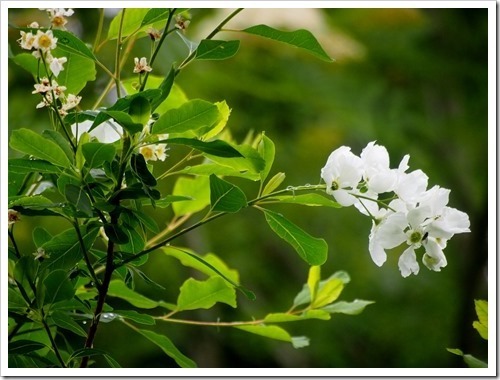 24 June 3 21-06-2013 11-25-08