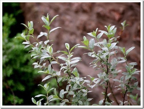 24 June 6 21-06-2013 11-26-31