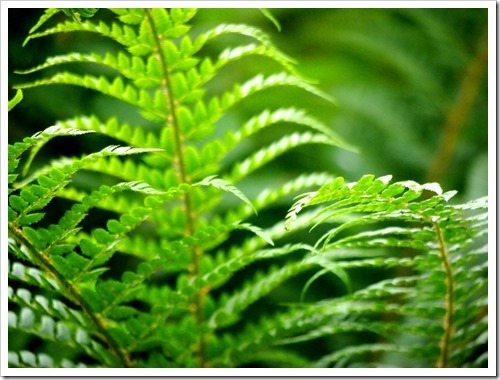 24 June 7 21-06-2013 11-27-34