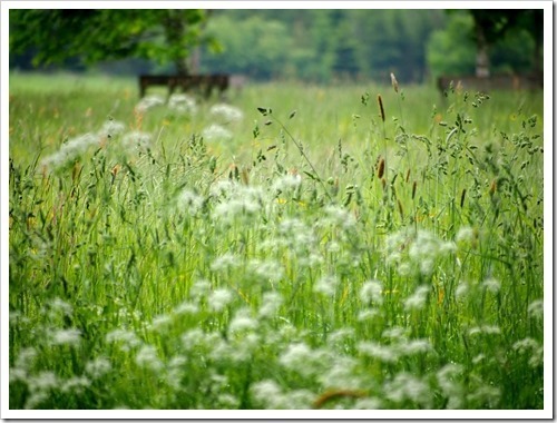 24 June 8 21-06-2013 11-28-34