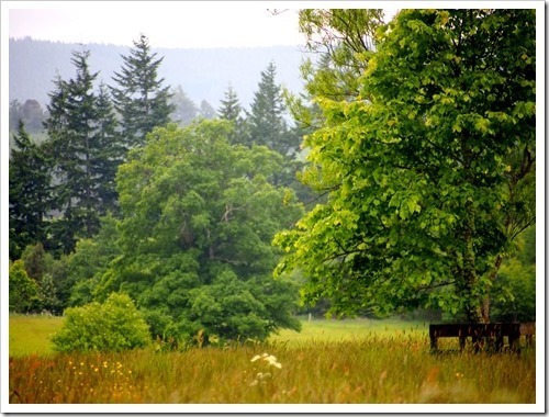 24 June 9 21-06-2013 11-28-38