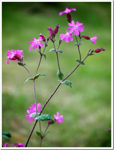 24 June 10 21-06-2013 11-31-03