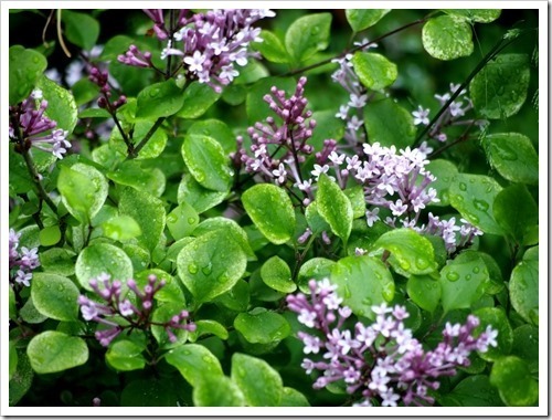 24 June 12 21-06-2013 11-31-17