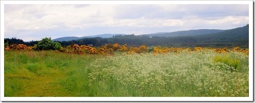 24 June 14 24-06-2013 09-54-39