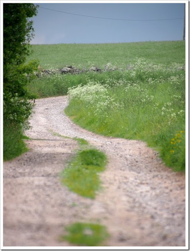 24 June 15 18-06-2013 10-36-13