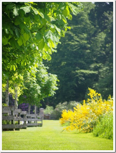 24 June 16 17-06-2013 10-34-22