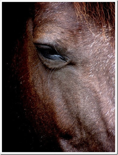 24 June 16 18-06-2013 10-42-21