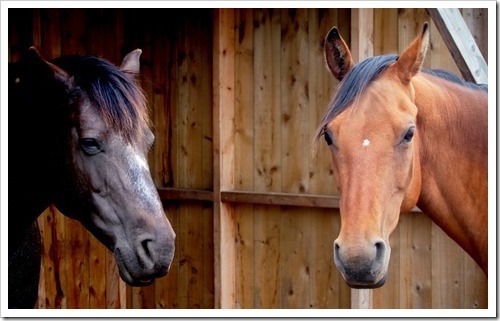 24 June 17 18-06-2013 10-42-32