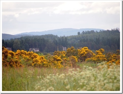 24 June H1 24-06-2013 09-54-41