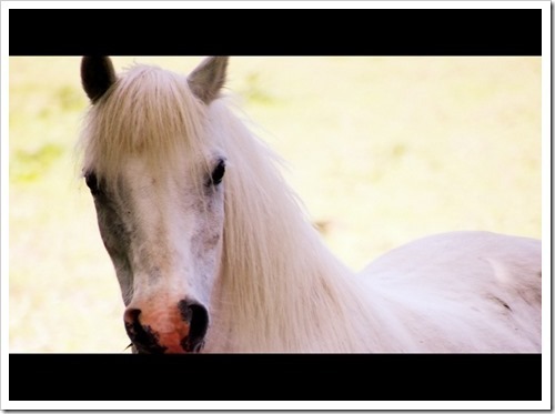 24 June 20 16-06-2013 09-52-04