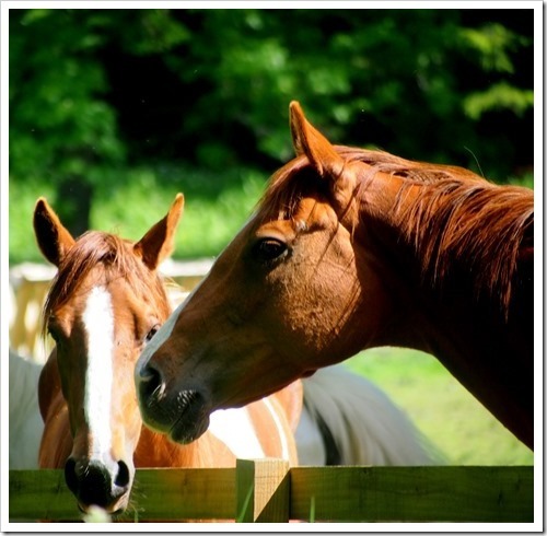 24 June 22 16-06-2013 09-51-08