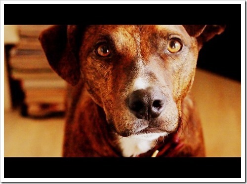 24 June 23 09-06-2013 10-27-46