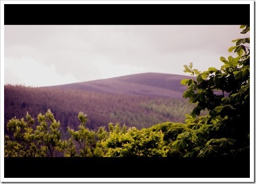 24 June 24 13-06-2013 11-31-20