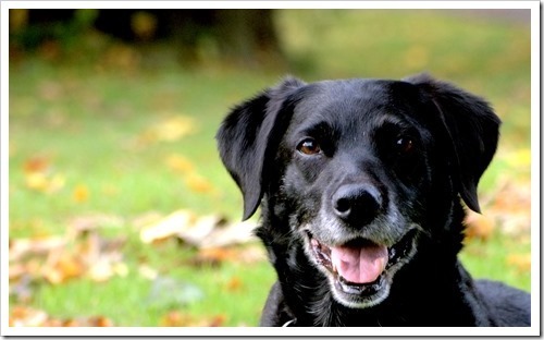 10%2520Oct%25201.ORF