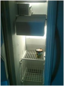 empty freezer