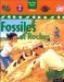 Fossiles et roches by Chris Pellant