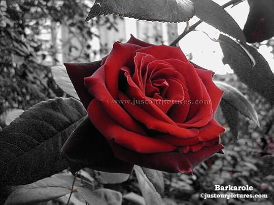 Click to visit the original post