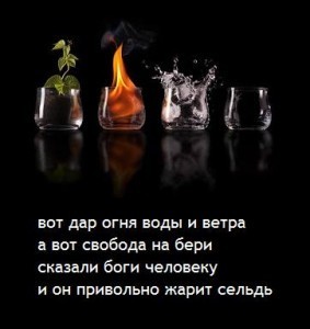 1395_10151777161154399_346270041_n