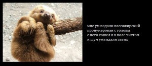 1000508_10151737207079399_1685455199_n