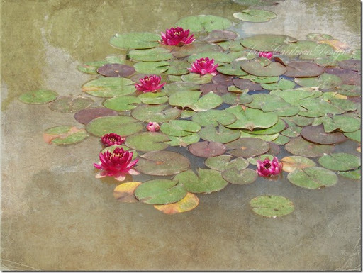 RedLily_Bentedges