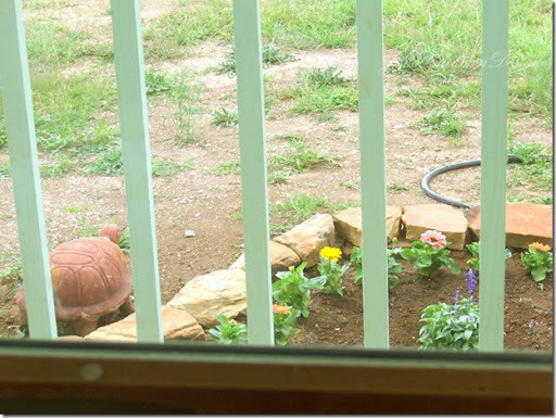Window_View