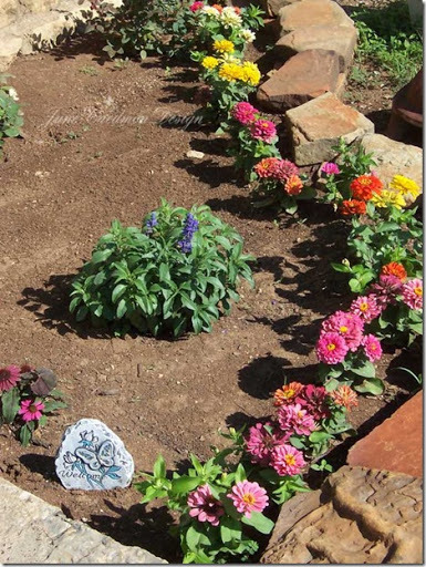 Front_Garden