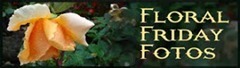Floral_Friday_Fotos