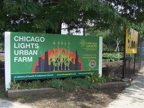 chicago lights urban farm 2