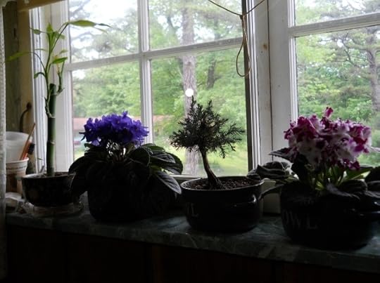 Click to visit the original post