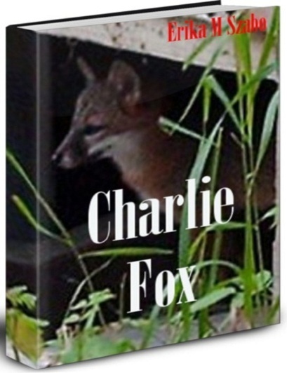 Click to visit the original post