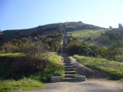 575360_10151474332748229_1673416908_n