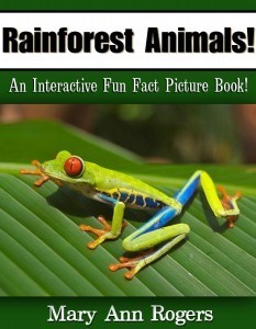 Rain Forest Cover 